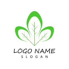 Moringa leaf Logo Template vector symbol nature