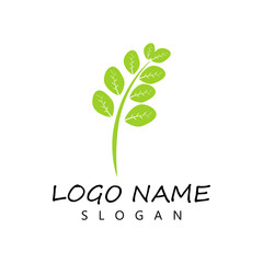 Moringa leaf Logo Template vector symbol nature