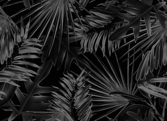 Motif De Feuilles Sans Couture Dans Un Style élégant. Fond de feuilles de palmier. Feuilles de palmiers tropicaux, jungle laisse fond de motifs floraux sans soudure