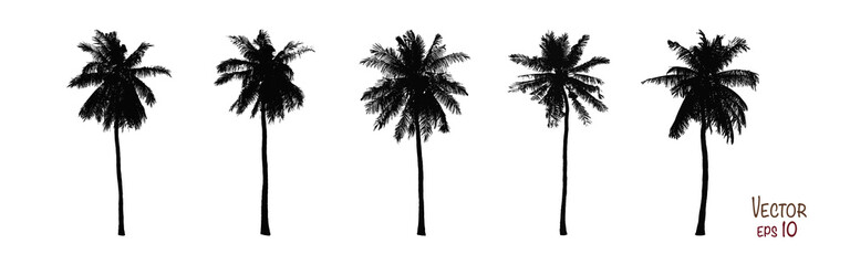 Set of coconut trees silhouettes collection. Isolated on white background. Vector EPS10. - obrazy, fototapety, plakaty