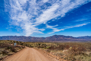 Fototapeta na wymiar A rural dirt road in the Sonoran desert of Arizona under a brilliant blue sky