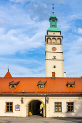 Main gate to Palace of Habsburgs, Old Castle and Zywiec Castle Park with Cathedral tower in historic city center of Zywiec in Silesia region of Poland