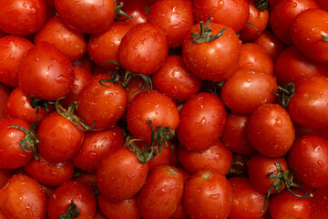 Delicious red tomatoes in Summer tray market agriculture farm full of organic. Fresh tomatoes, It can be used as background