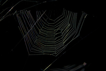 A close up, detailed shot of a scenery that captures spider web, also known as cobweb made by a spider in front of a dark background. 