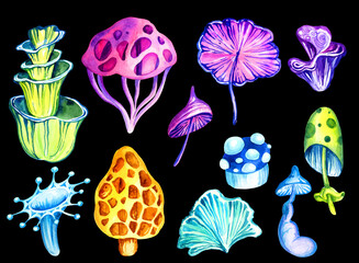 set of fantastic cosmic mushrooms on dark background, watercolor hand draw illustration