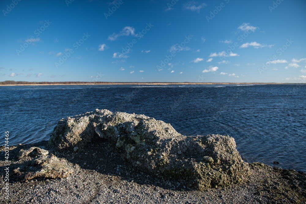 Wall mural stones on the shore of the lake liepaja, latvia.