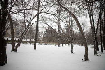 Snowy city with poor visibility, snowstorm on the street.