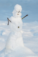 A Snowman Warmed by the Late Winter Sun on a Cold March Day