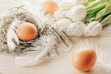 Easter eggs color in basket with spring tulips, white feathers on wooden table background in Happy Easter decoration. Festive decoration.
