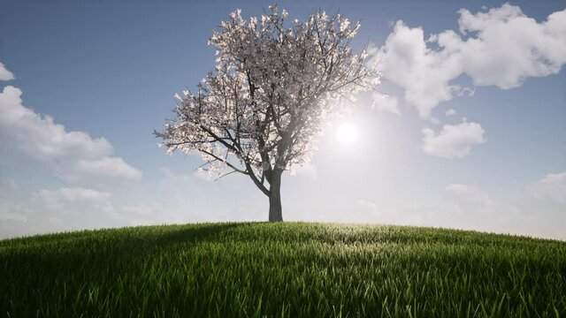 One tree growth Ecology Agriculture concept environment Nature spring season Environmental Green grass hill