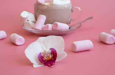 transparent cup with cocoa on pink background with marshmallows