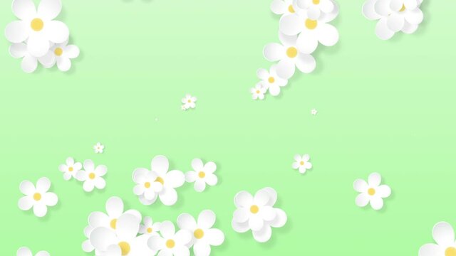 Growing floral background, paper flowers appearing, botanical pattern, bridal round bouquet, paper craft, 4k animation