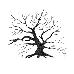 Vector illustration tree without leaves. Line art is on a white background without color. Decorative element for card design, poster.