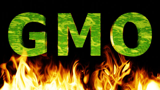 GMO - Schrift in Fleischtextur in Gr&uuml;n, lodernde Flammen im Vordergrund, Hintergrund schwarz, fleischlose Lebensmittel der Zukunft