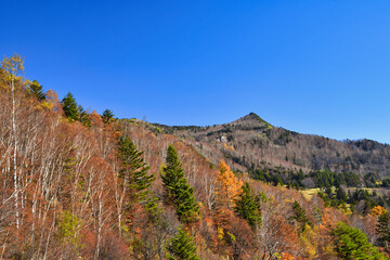 深まる秋の信州山田牧場