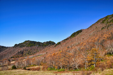 深まる秋の信州山田牧場