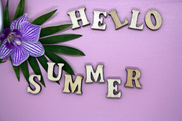 Text Hello summer and green leaf on pink background.