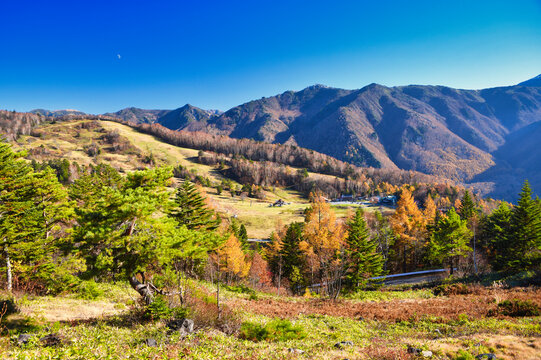 32 最適な 澄み切る 画像 ストック写真 ベクター Adobe Stock