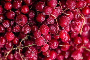 Frozen raspberries close-up. Macro