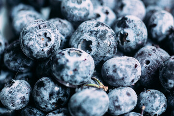 blueberries, frozen blueberries, berries covered with hoarfrost. Background. blueberries background. Macro blueberries