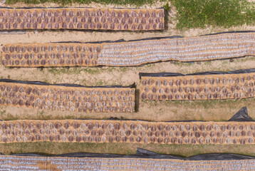 dry fish in the making aerial view  in sri lanka (dry tuna and dry sardines)