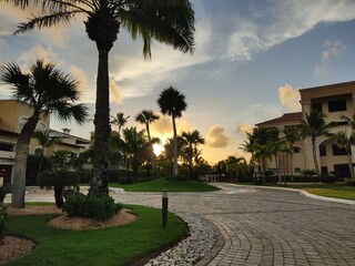 trees at dusk © Robertsmith