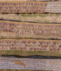traditional fish preparation  top down drone shot in sri lanka of fish drying(dry tuna and dry sardines)