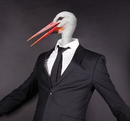 White stork head in a black suit © michaklootwijk