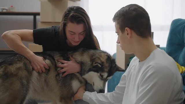 A pretty girl caress a big dog in the apartment. A woman and a man petting a pet together after moving to a new home.