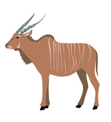 Hand drawing Common eland antelope