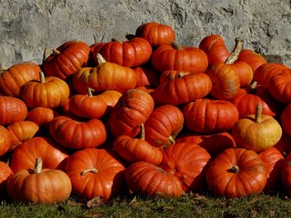 Orange Kürbisse vor Steinmauer