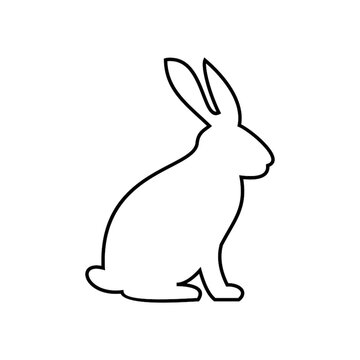 rabbit icon vector illustration sign