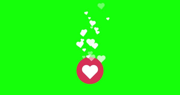 2D flat animation for social media, like button, hearts flying up, Live style. 2D motion animated footage with heart icons floating like particles. 4K resolution Stock video, green screen background