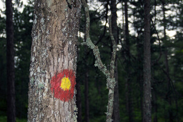 Naklejka premium A mountain hiking route marker on a tree trunk