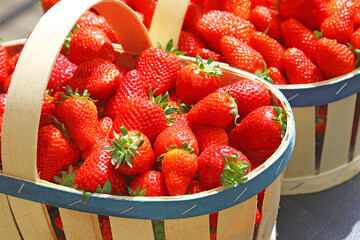 Panier de fraises. - 420397651