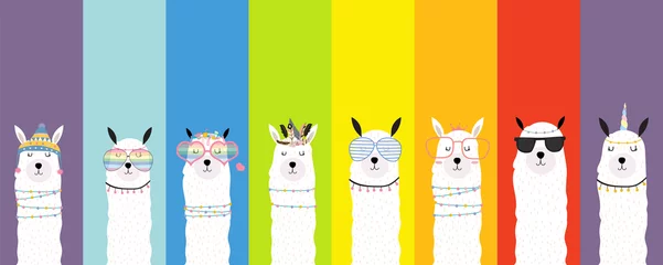 Foto auf Alu-Dibond Collection of animal background set with llama,rainbow color.Editable vector illustration for birthday invitation,postcard and sticker © piixypeach