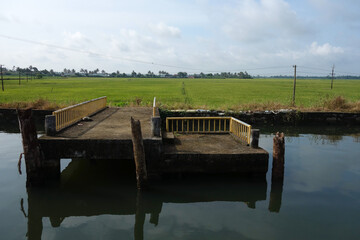 Backwaters network of brackish lagoons in Kerala