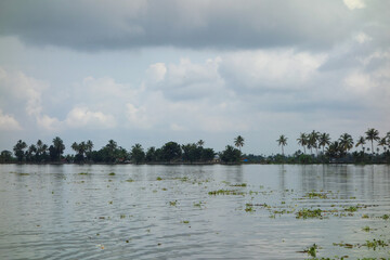 Backwaters network of brackish lagoons in Kerala