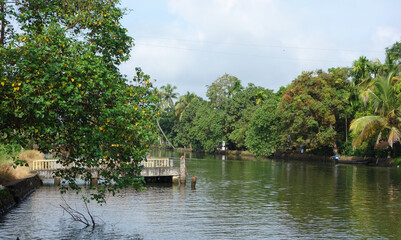 Backwaters network of brackish lagoons in Kerala