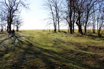 spring morning outside the city