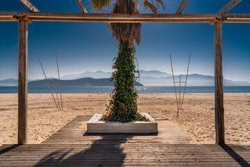  palm tree on the beach of Keramoti Greece