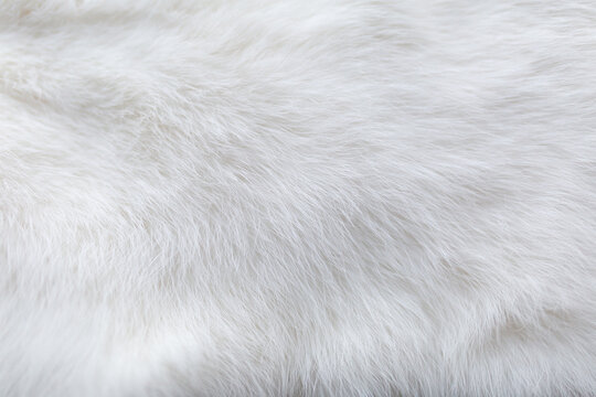 White fur background texture. Fluffy rabbit fur Stock Photo