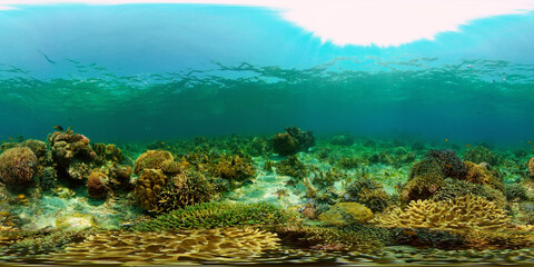 Fototapeta na wymiar Underwater world with coral reef and tropical fishes. Travel vacation concept 360 panorama VR