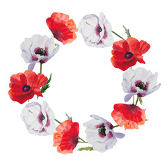 Flower wreath of scarlet, red and lilac poppies, watercolor