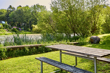 bench by a lake with a nice view