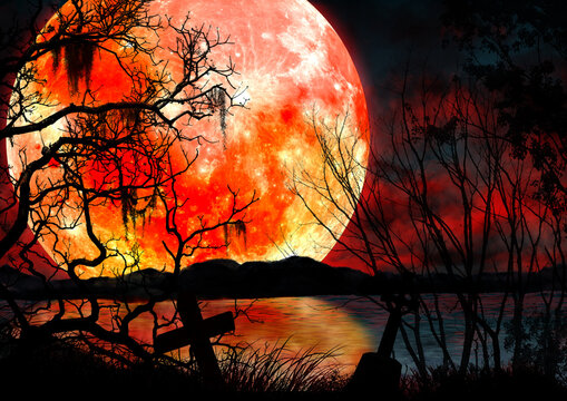 暗い森の夜と赤い満月の風景イラスト