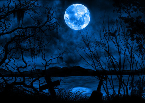 暗い森の夜と青い満月の風景イラスト Stock イラスト Adobe Stock