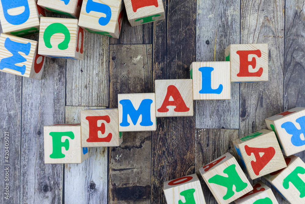 Fototapete colourful alphabet letters on wooden cubes with word - female - in a diagonal line with additional b