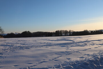 winter landscape with snow