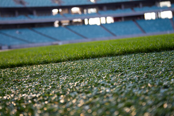 lawn in the stadium
